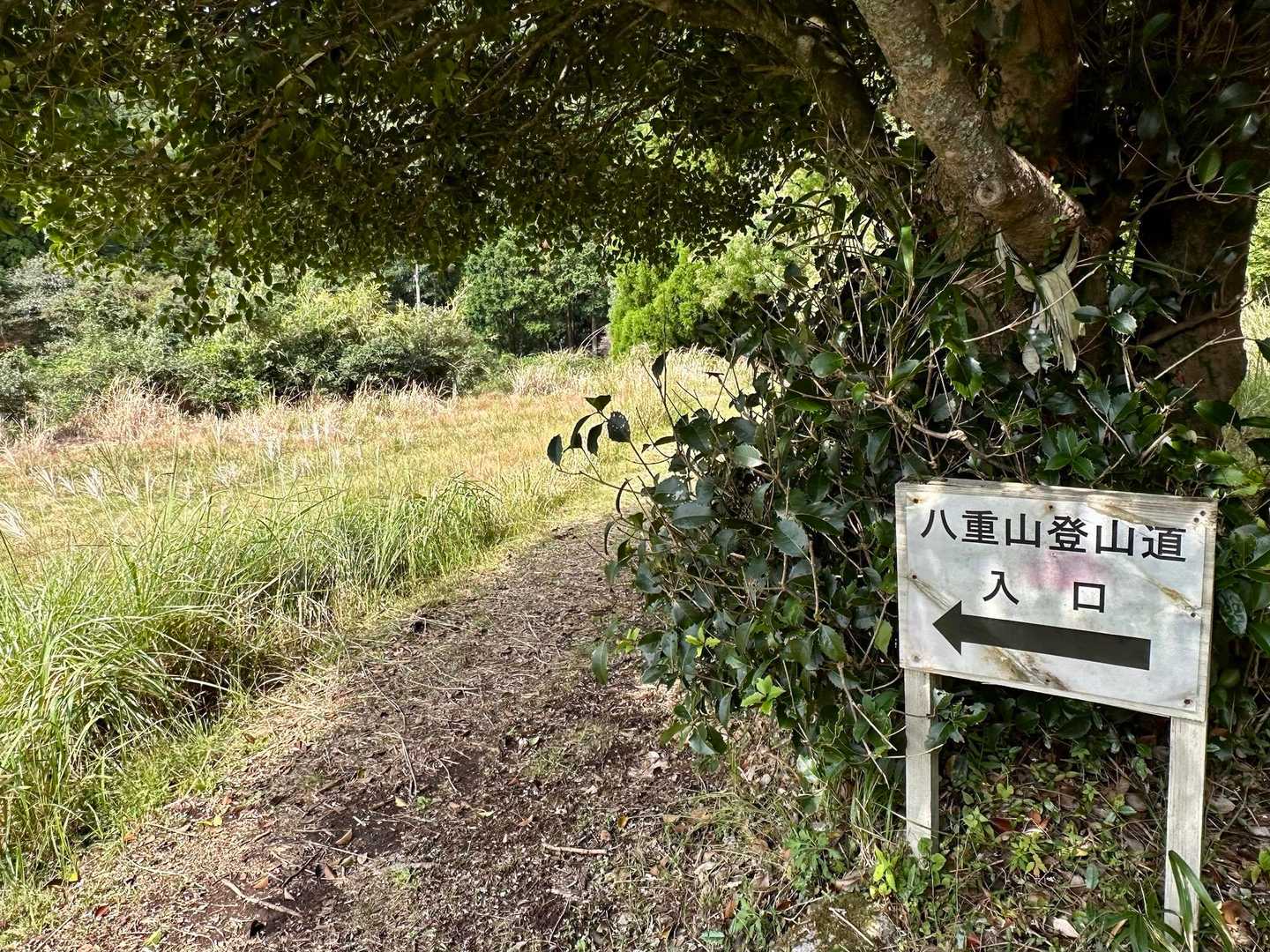 八重山登山道入口-炭焼窯跡-八重山 往復コースの写真