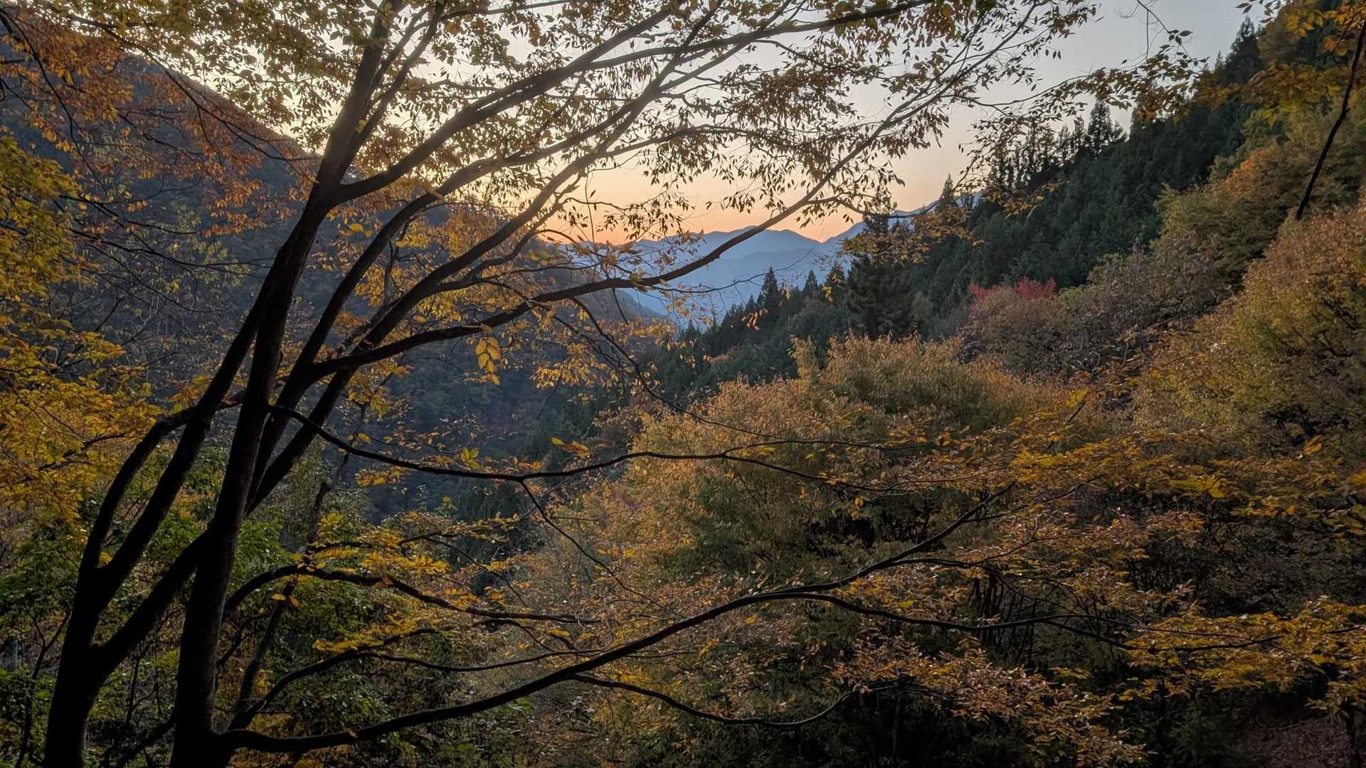 少しずつ明るくなってきて綺麗✨