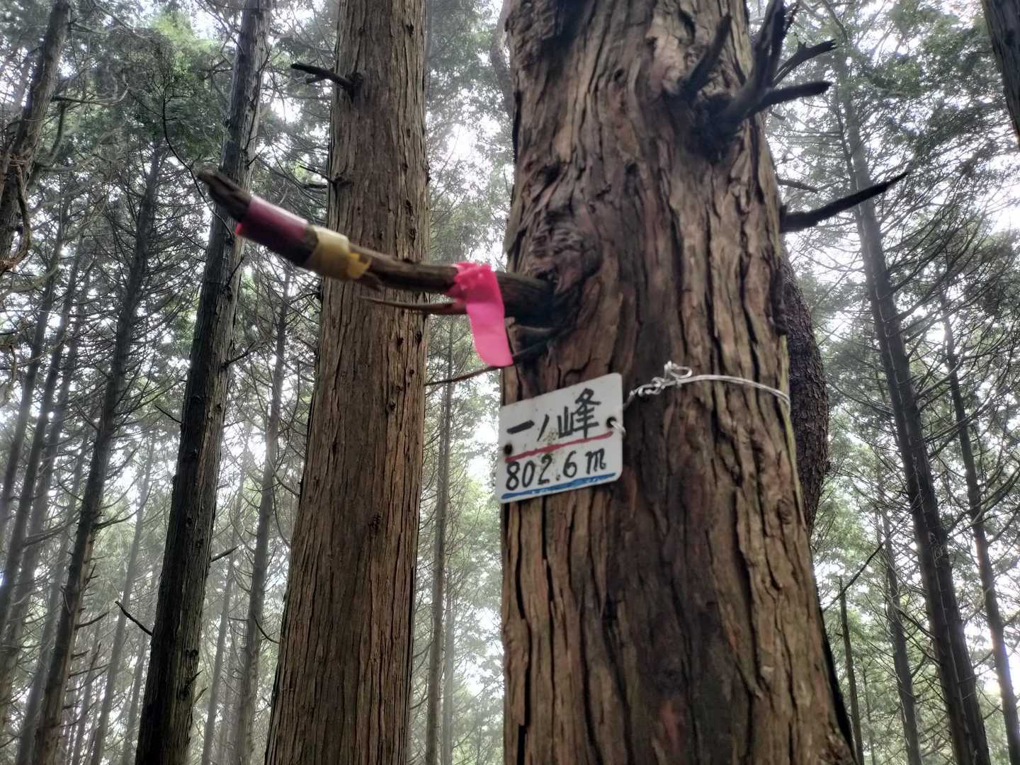 一ノ峰 頂上。