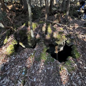 メガネは何処？と皆んなで探す🔍