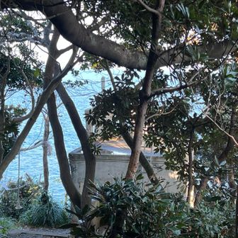 ゴールが見えた