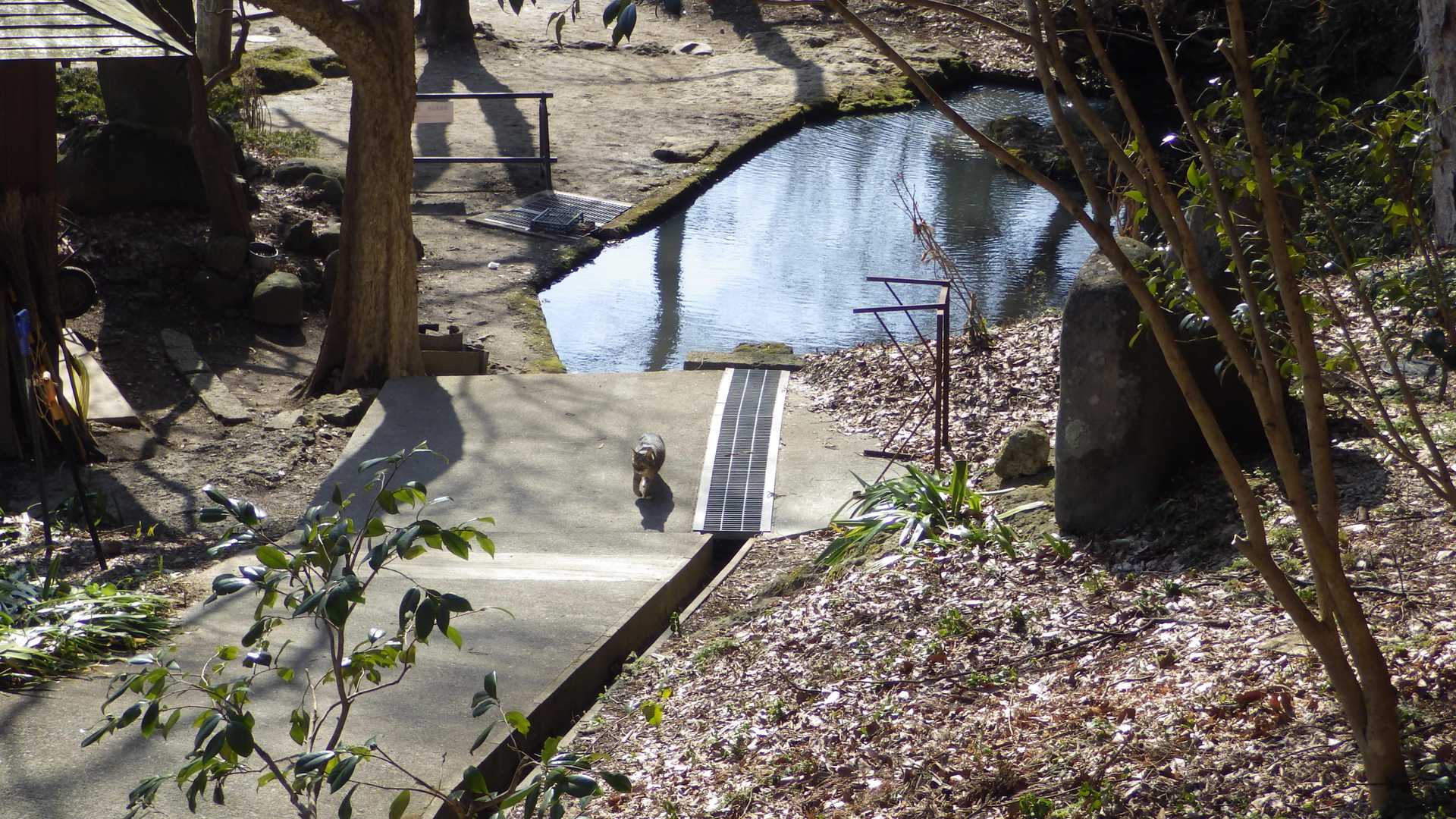 近寄ってきた