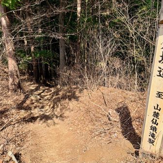 麦坂道と言うようですね。