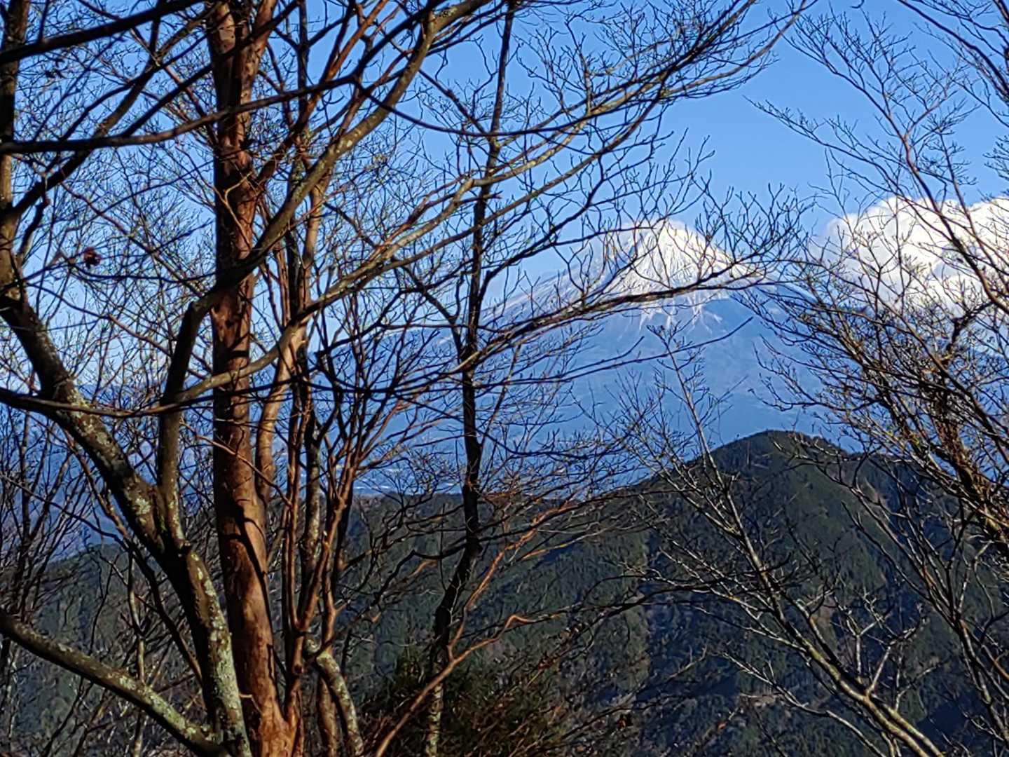 樽峠登山口-樽峠-高ドッキョウ-平治ノ段-貫ヶ岳 周回コースの写真