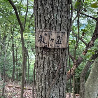 礼ヶ岳山頂。
