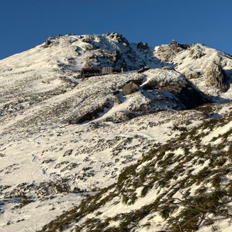 あと少しが遠い🙃
もう、この辺は道がわからなかったんで
適当に直登