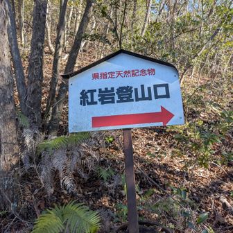 さて登りますか
まずは紅岩を目指します