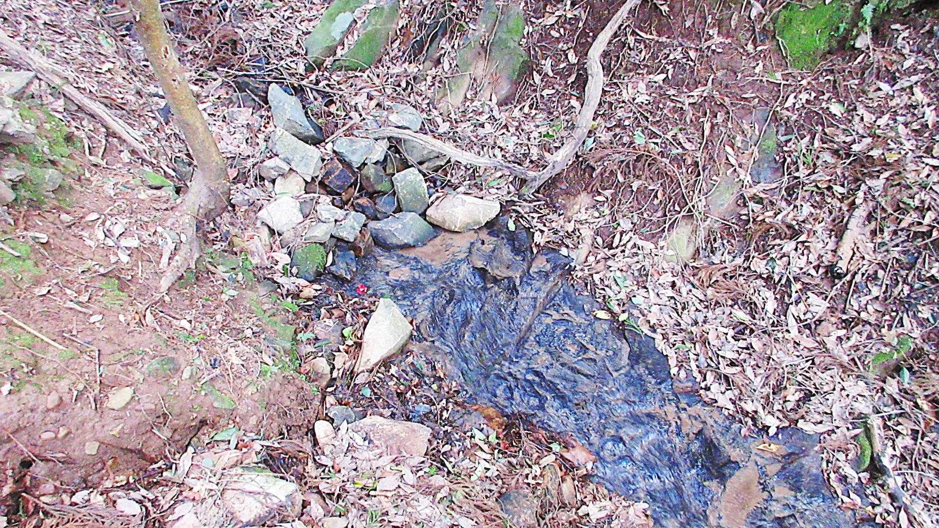 沢の流れ