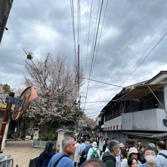 下山してきたら人！人！人！😱💦