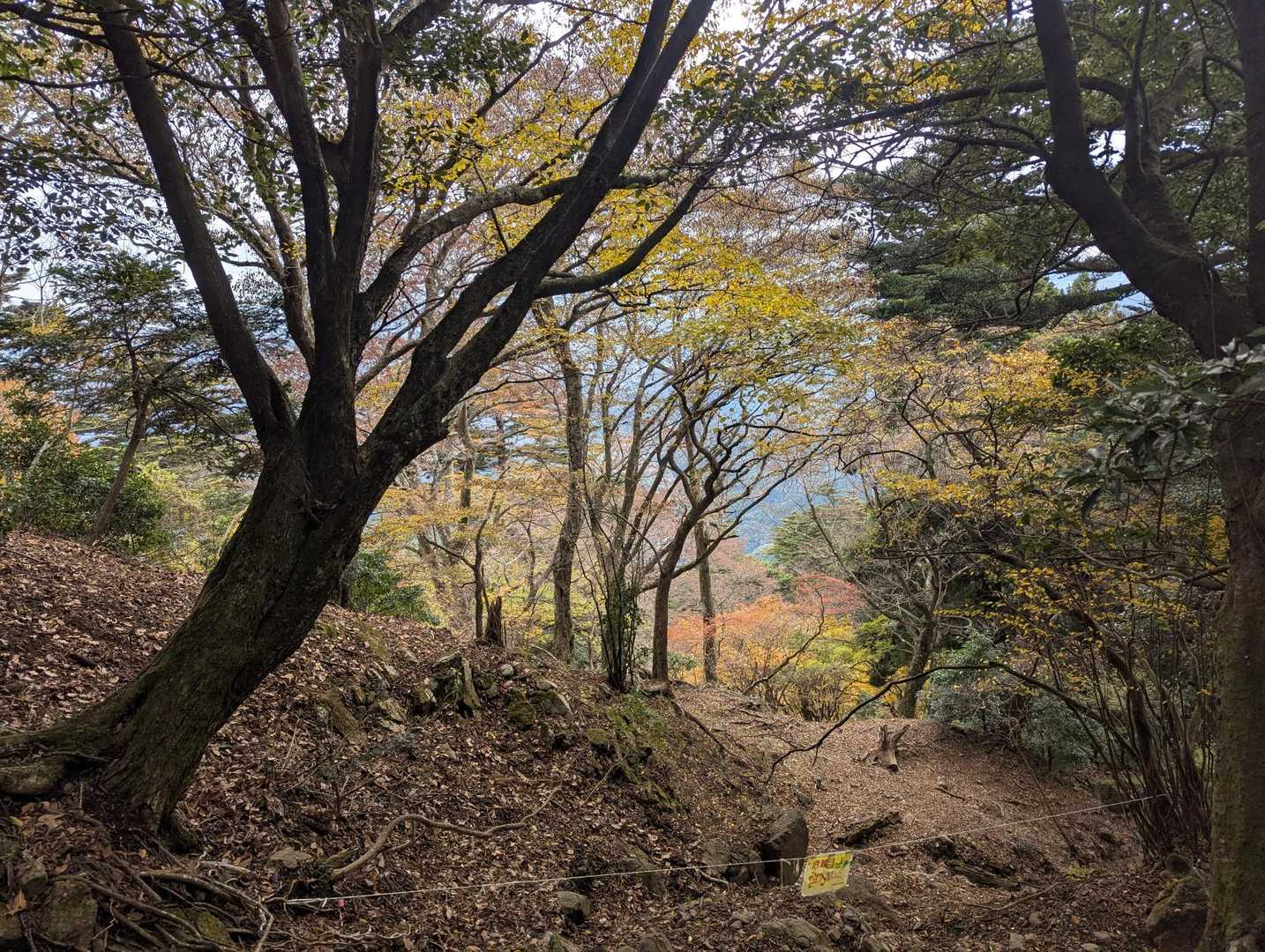 鶴巻温泉駅-吾妻山-善波山-念仏山-高取山-不動越-蓑毛越 縦走コースの写真