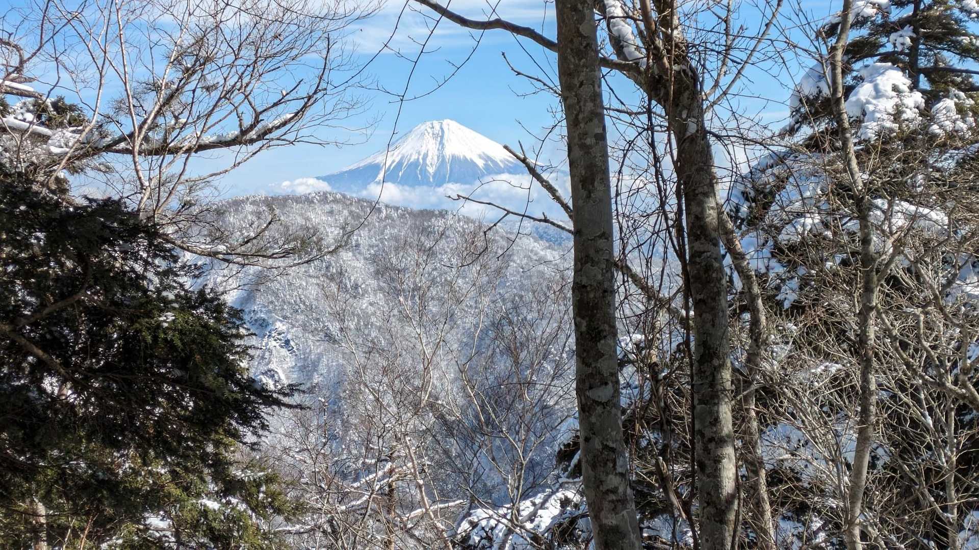 山伏登山口-蓬峠-山伏 往復コースの写真