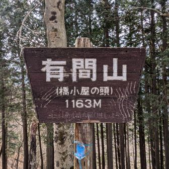 有間山(橋小屋ノ頭)に到着。