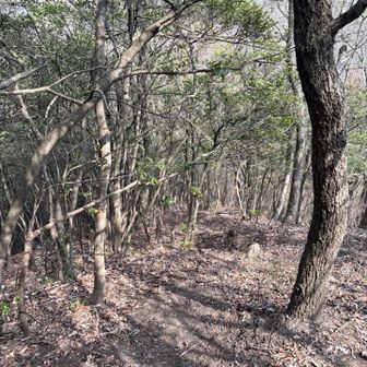 青影山に向かってます🙂　