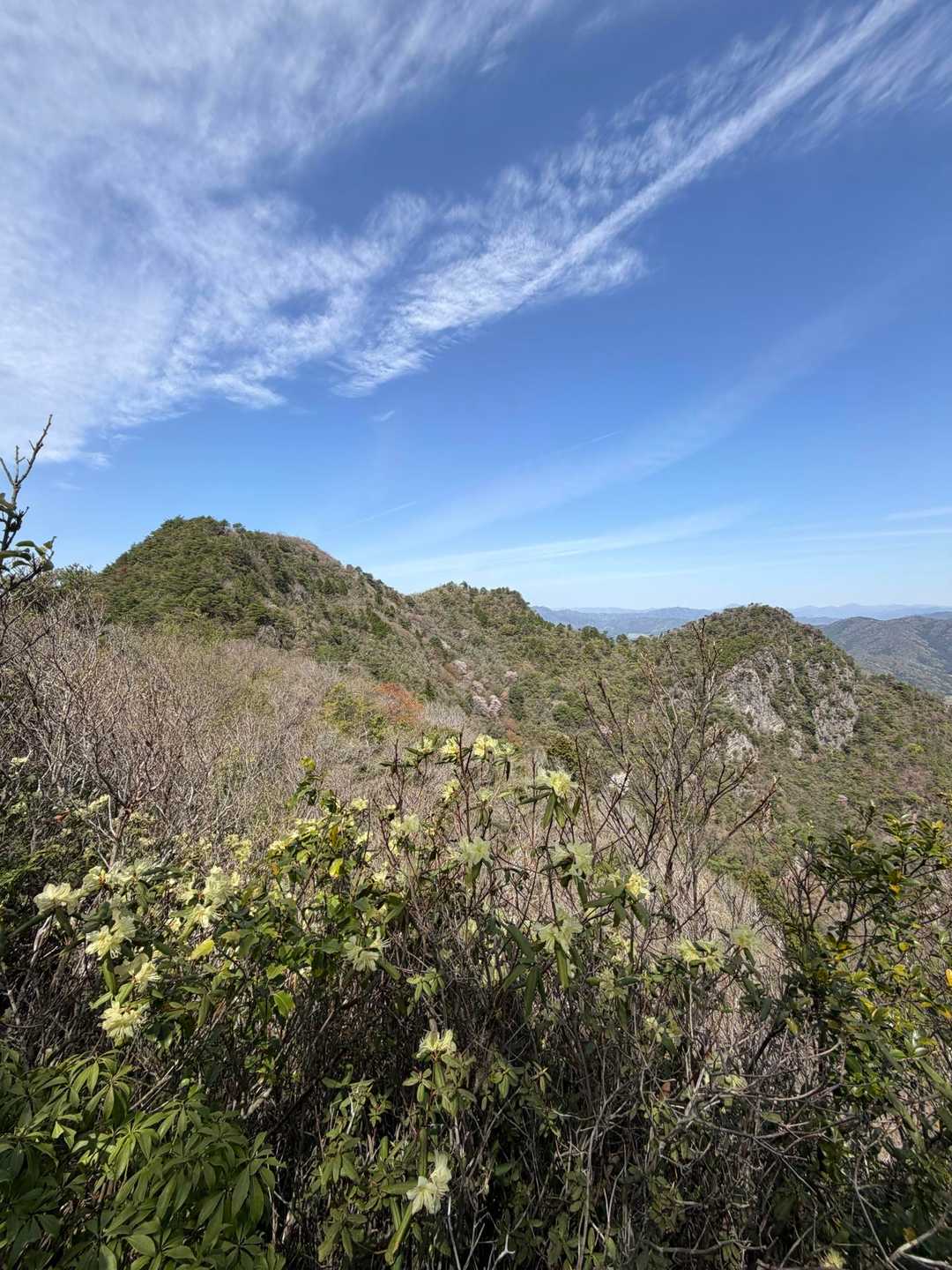 佐仲峠-三尾山 周回コースの写真