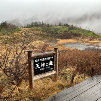 天狗の庭だそうだ