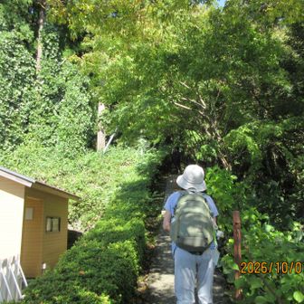 山道へ、、、と思いきや、直ぐにリフト乗り場がありました。