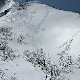 げざぁ〜ん
毎年恒例
小屋上部の壁は
ヒップソリ🛷