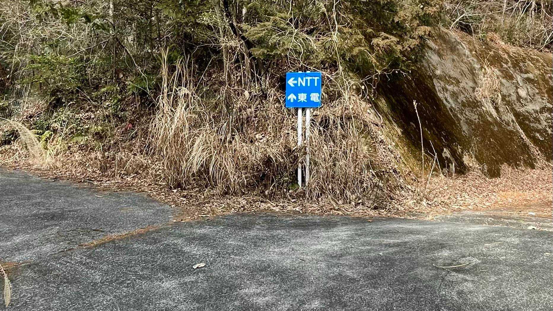 えぬてーてー⬅️から山頂へ向かいます🤣💪