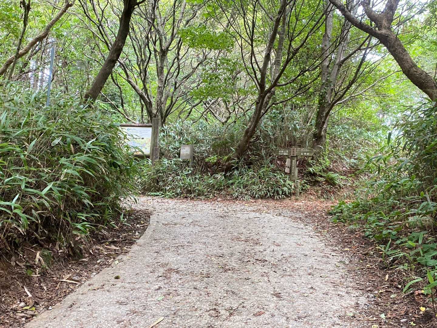 やっと稜線
ここまでの登りがきつかった😂