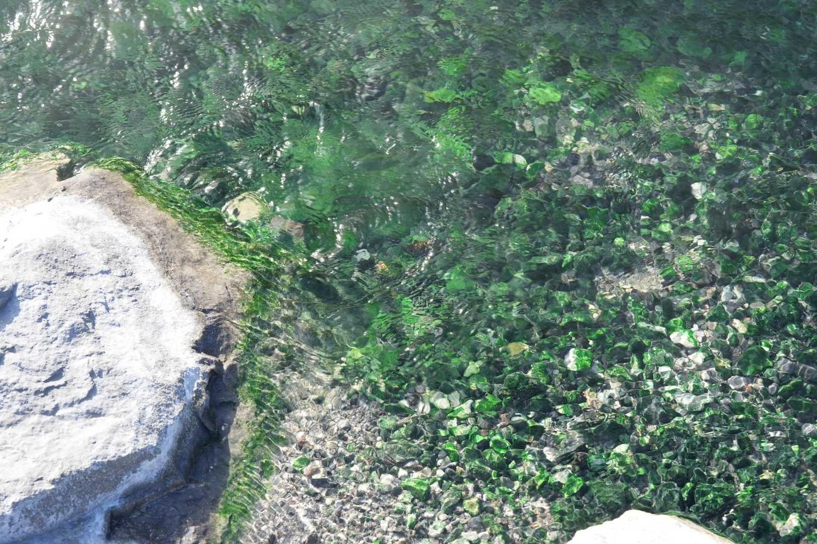 硫黄の香りに包まれながら、登山開始〜！
緑色だ…イデユコゴメと言う藻が生息しているためだそう👀