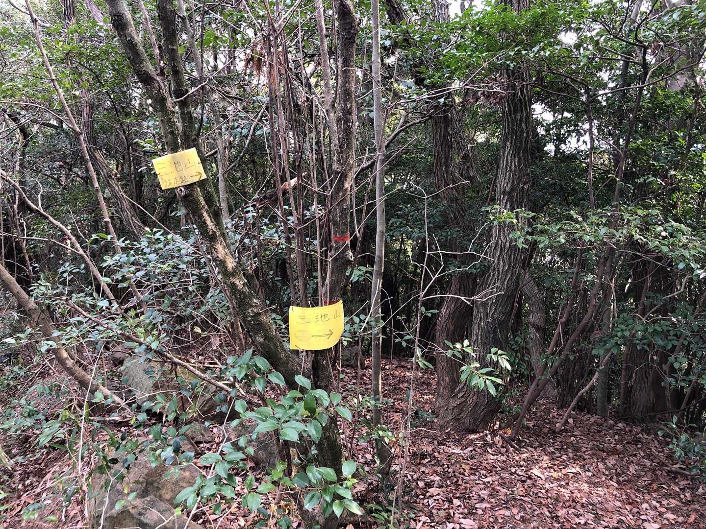黄色の看板が案内してくれます😄