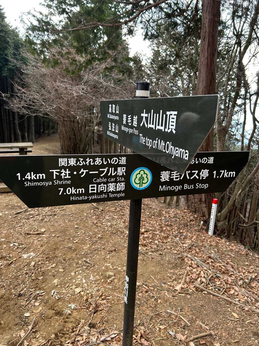 危なくないタイプの急登で汗かいて💦蓑毛越
昔はヤビツ峠のバスがなかったみたい、ここから大山へ向かっていたみたい。今回は不動越に向かいます。