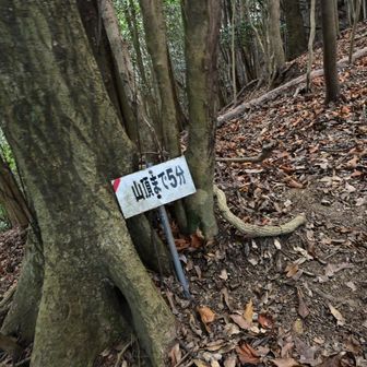 そうか、あと少し。