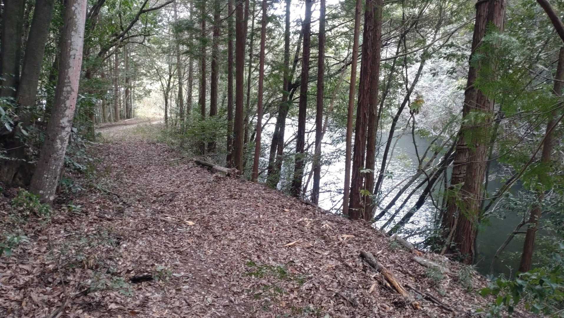 溜池に来ました。