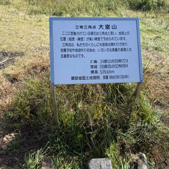 山頂