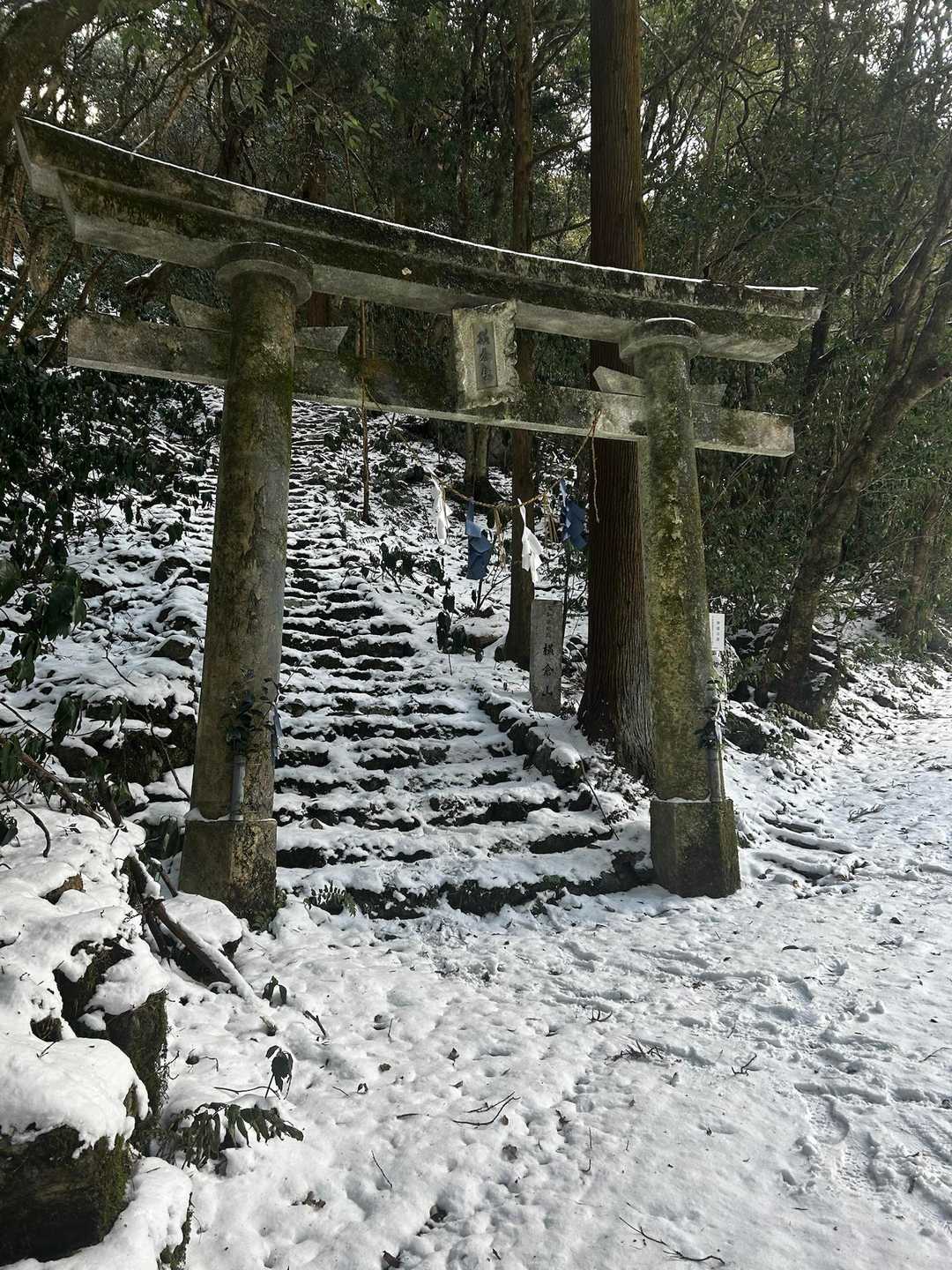 横倉山 周回コースの写真