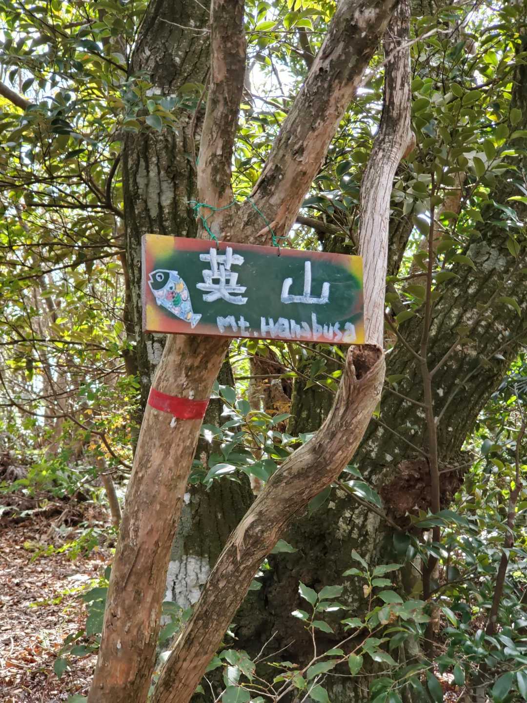 英山山頂