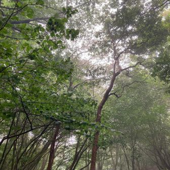 ウインドシェルを着ても寒いくらい