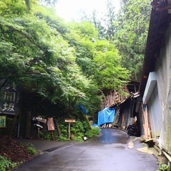 ここを左。