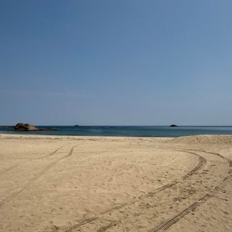 すぐ海