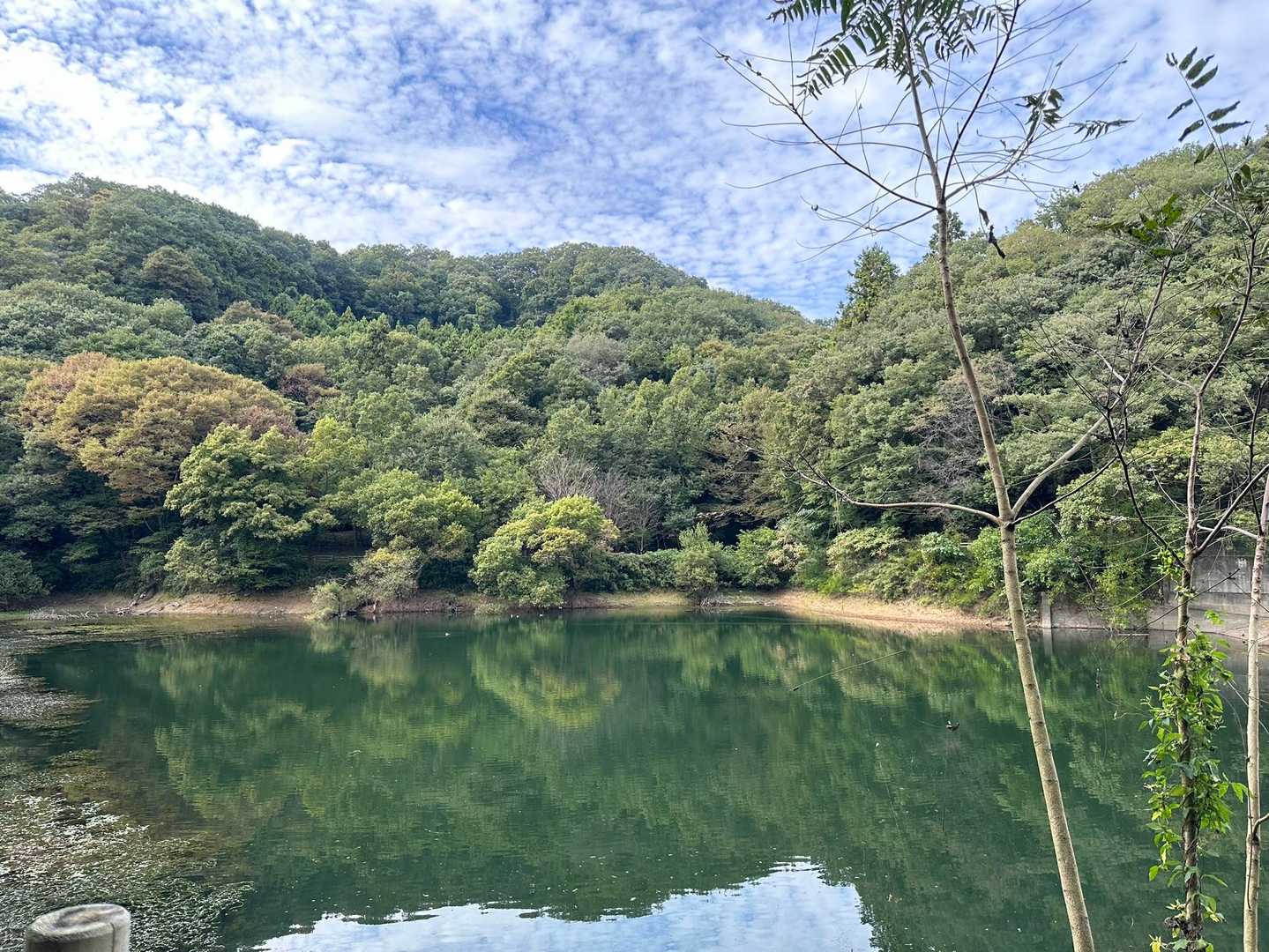 谷津池