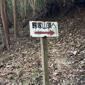 迷子にはなるまい