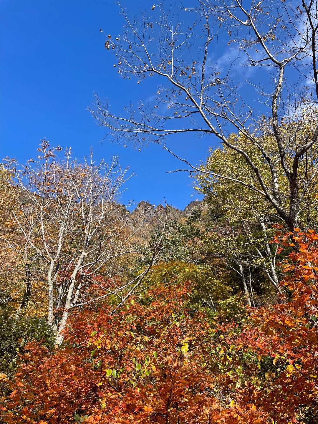 山がチラリ
