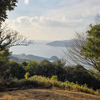 見晴らしの丘👀