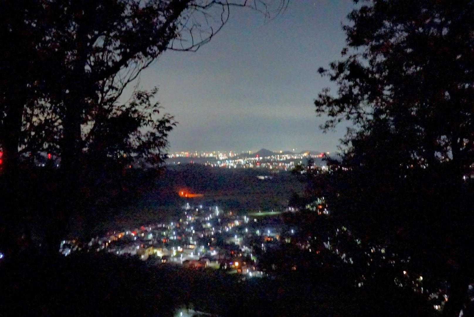 正法寺山登山口-絆の御神木-正法寺山-正法寺山最高点 往復コースの写真