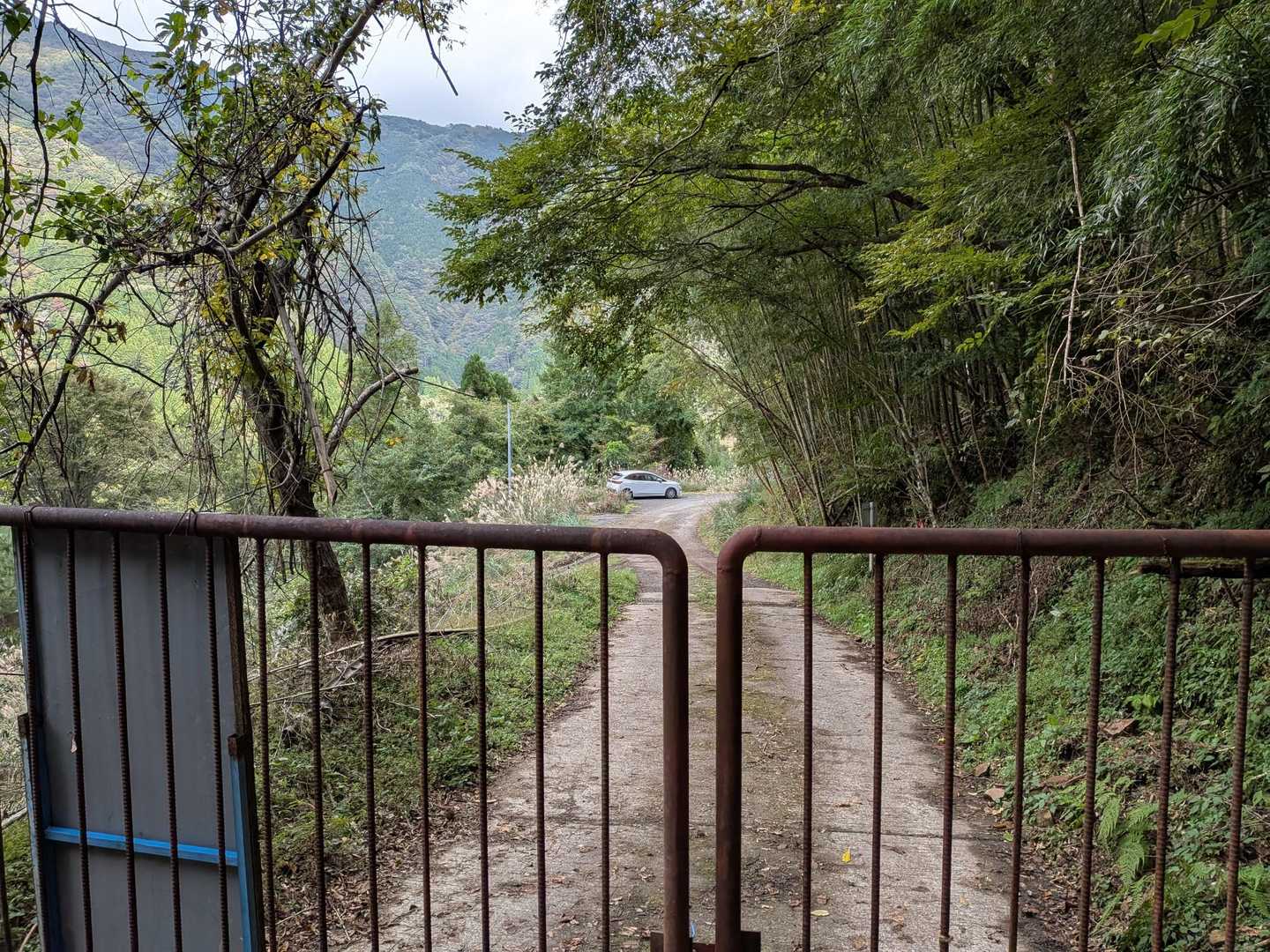 無事戻って終了
しかし、この深い山域に自分だけかぁ