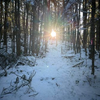 朝日が眩しい✨