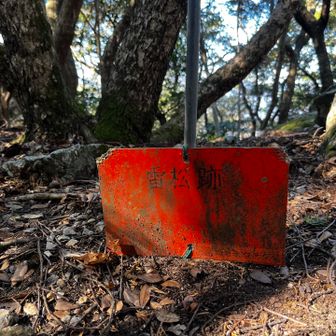 テクテク会さんはここが雷松跡としてるがAOKIさんが合ってる気がする