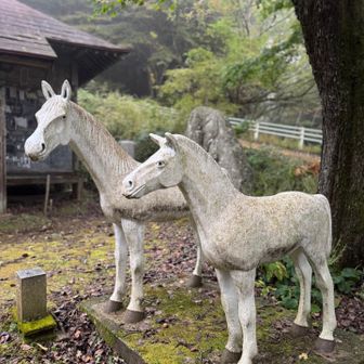 親子の白馬像 神馬像🫏🫏