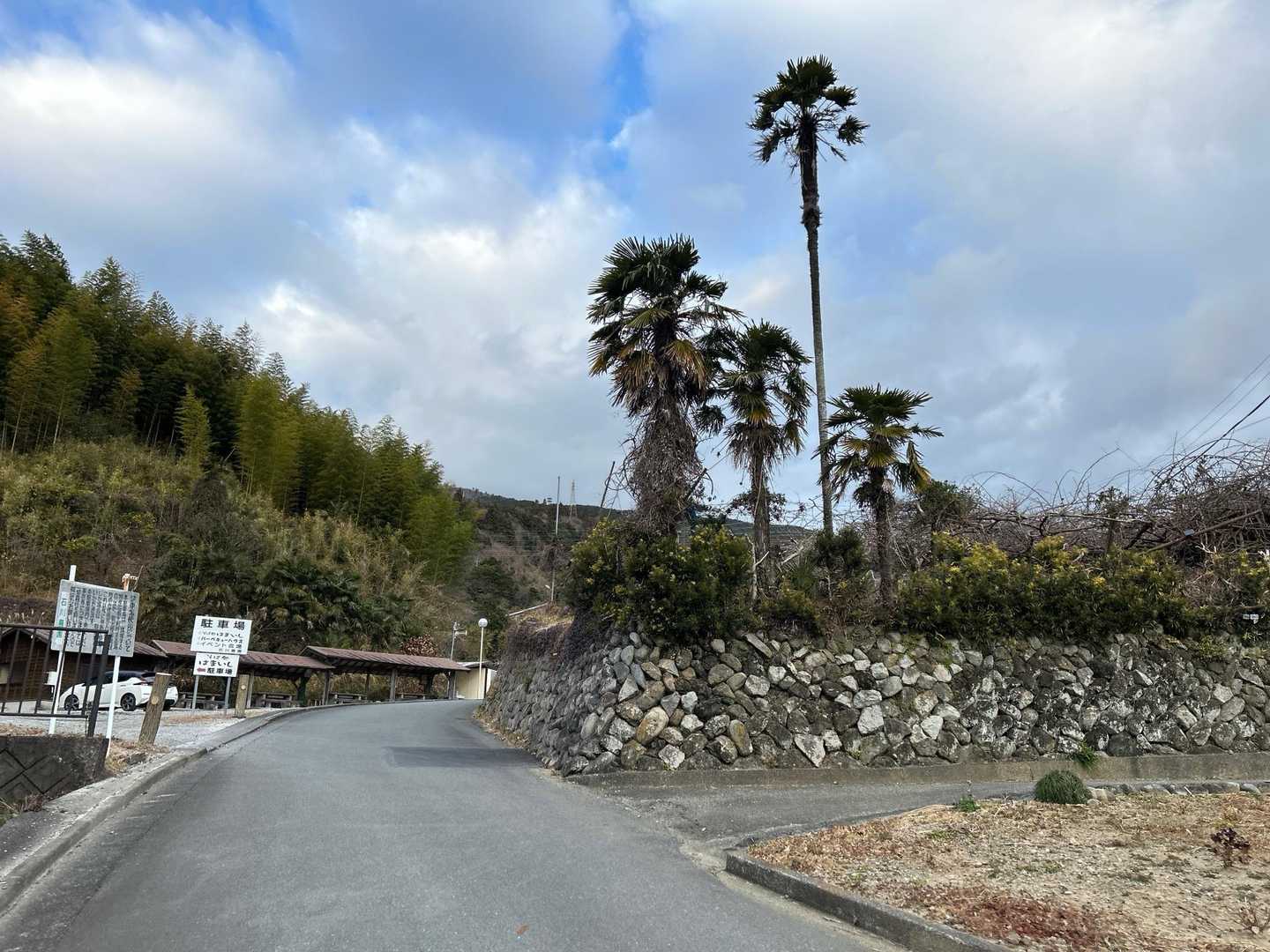 雪がガンガン積もっている場所もあって一方で南国チックな場所もあって同じ本州島って島なのによくよく考えたら面白いですよね日本って🏝️