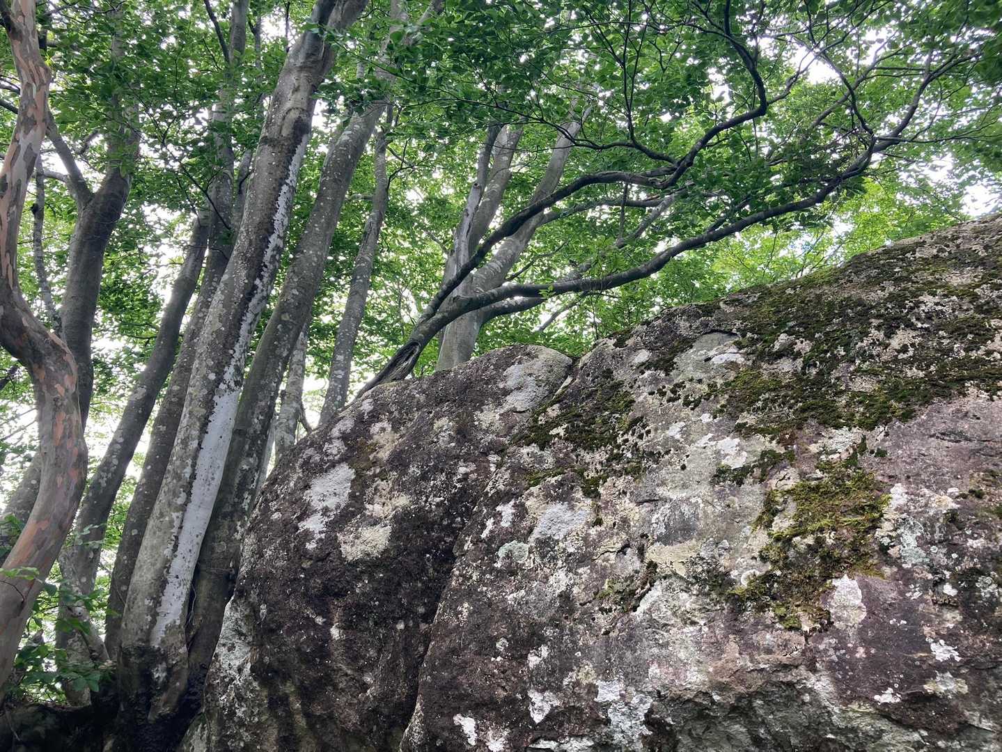 大岩