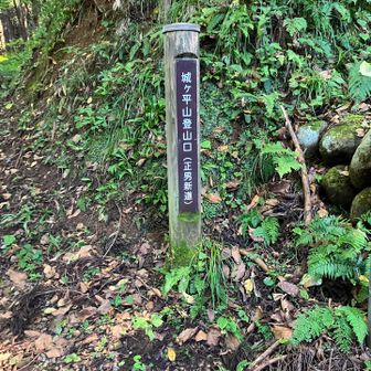 降りてきました。
ここからはアスファルトの道路を歩きます。