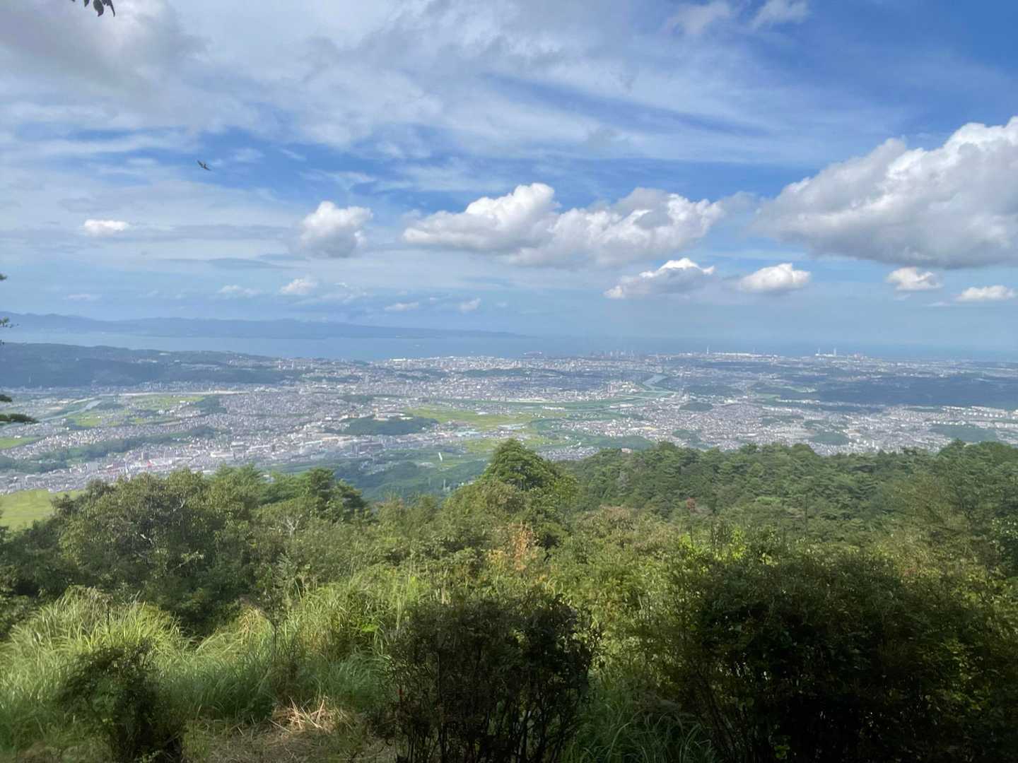 市内に向こうは国東の山々も。