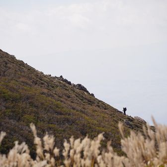 を登る人