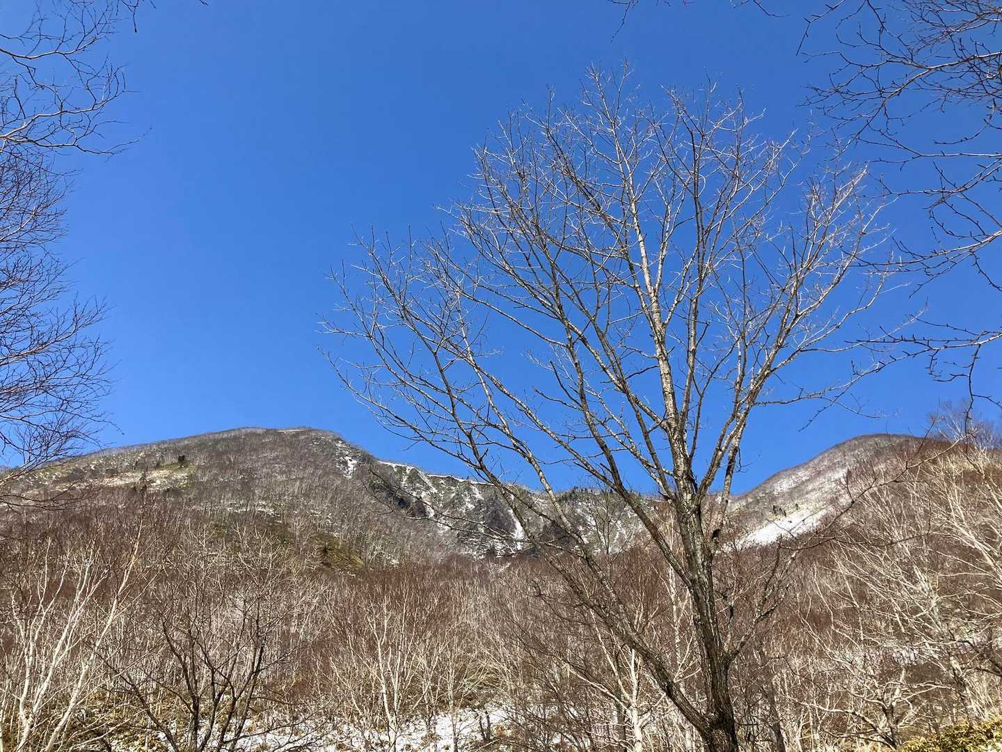 と思ったら直後に
こんな青空が♪♪
やっぱりWINDY正解🙆‍♂️