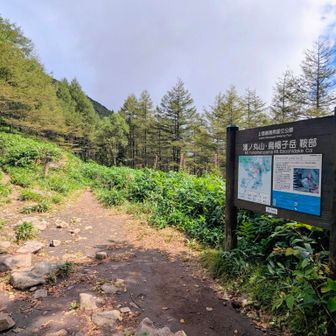 鞍部から先は湯ノ丸山を巻いて下ります😆